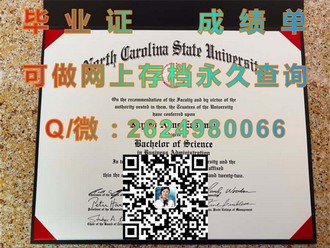 《索尔福德大学文凭：开启全球职场大门的黄金钥匙》）