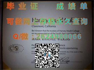 《新加坡共和理工学院文凭：成就未来精英的摇篮，开启无限可能》）