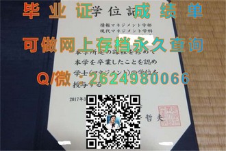 福尔茅斯大学学院文凭：揭秘其学术成就与就业优势）