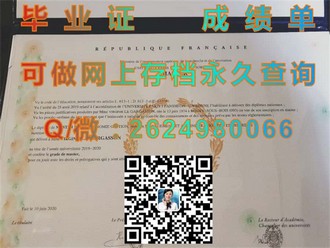 《惠灵顿理工学院文凭：开启全球认可的学术之旅》）