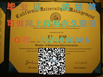 奥塔哥理工学院文凭：开启职业生涯的全球通行证）