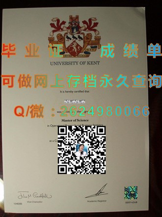《惠灵顿理工学院文凭：开启国际职场新篇章的秘密武器》）