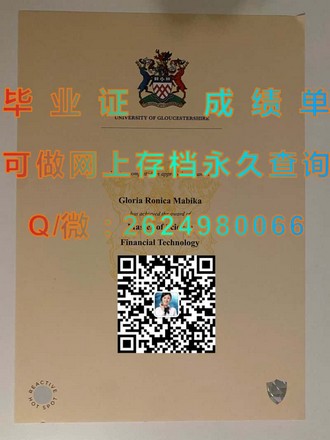 《马努考理工学院文凭：开启你的国际学术之旅》）