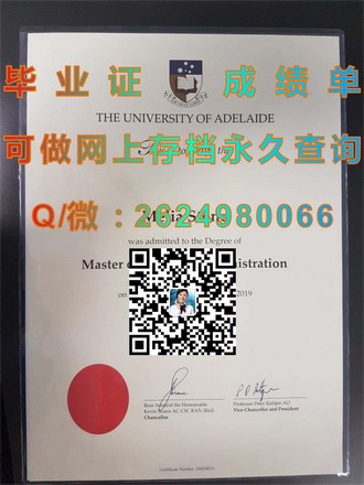 《马来西亚精英大学文凭：开启国际教育新篇章的秘密武器》）