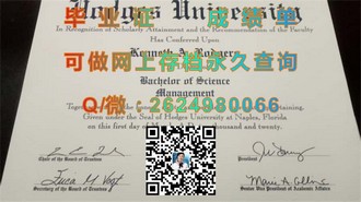 《荷兰屯特大学文凭：揭开这所荷兰名校的教育成果与全球认可度》）