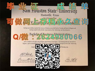 开普半岛科技大学文凭：揭开全球认可的教育品质与未来职业前景）