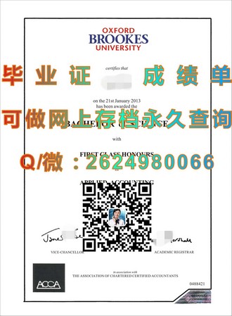 《都柏林大学文凭：开启全球职场新篇章的敲门砖》）