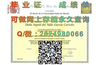 《悉尼大学文凭：开启全球认可的教育新篇章》）