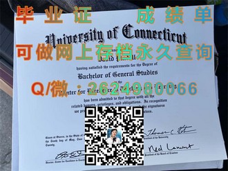 《菲律宾圣托马斯大学文凭：揭秘这所名校的学术魅力与全球认可度》）