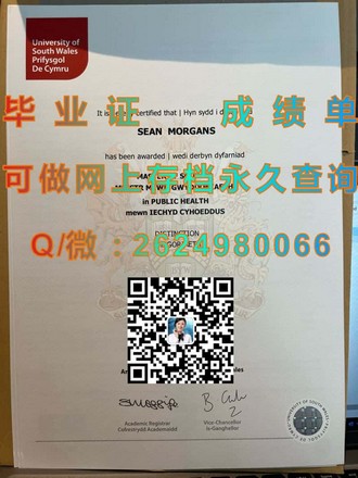 《荷兰屯特大学文凭：开启全球教育新视野的通行证》）