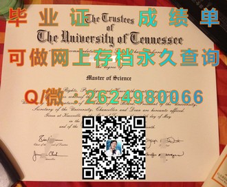 《都柏林城市大学文凭：开启你的国际学术之旅》）