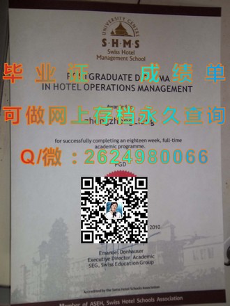 《爱尔兰格里菲斯学院文凭：揭秘培养未来影视巨匠的摇篮》）