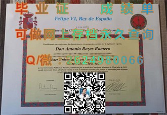 《利莫瑞克理工学院文凭：开启未来职业生涯的钥匙》）