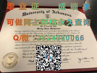 《纽卡斯尔大学文凭：揭秘全球顶尖学府的荣誉与成就》）