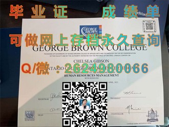 《新英格兰大学文凭：开启你的留学梦想，成就非凡人生》）