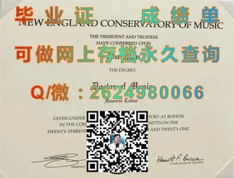 梅努斯大学文凭：开启你的全球精英教育之旅）