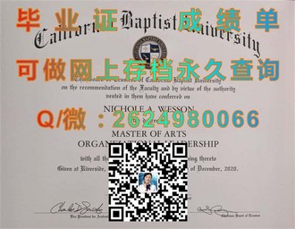 《都柏林理工学院文凭：开启全球认可的学术大门》）