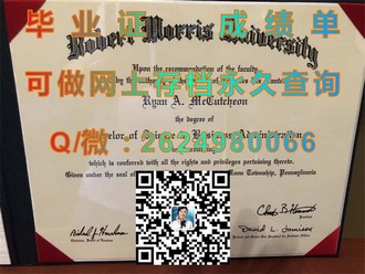 利默里克大学文凭：揭秘该校毕业生的全球竞争优势）