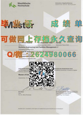 《格里菲斯大学文凭：开启你的学术与职业新篇章》）