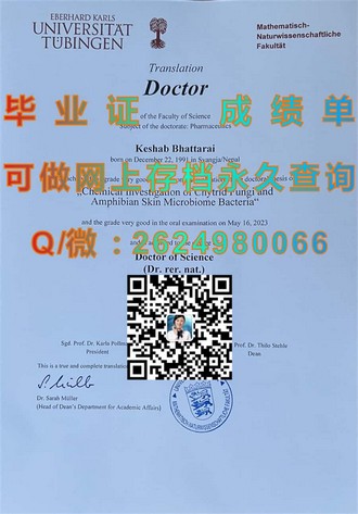 《新南威尔士大学文凭：开启全球认可的学术之门》）