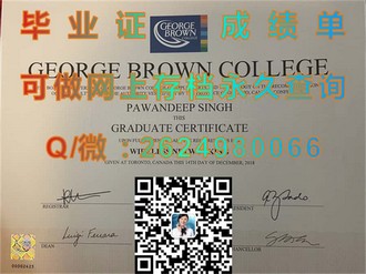 《泰晤士河谷大学文凭：揭秘顶尖学府的教育成就与就业优势》）