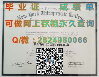 《基尔大学文凭：揭秘这所顶尖学府的学术荣耀与未来前景》）