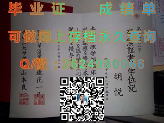 《怀卡托理工学院文凭：开启全球职业发展新篇章的秘密武器》）