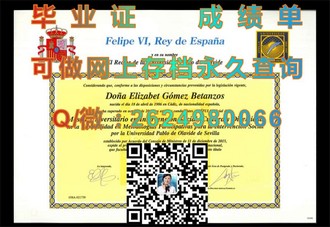 惠灵顿理工学院文凭：解锁国际认可的学术通行证）