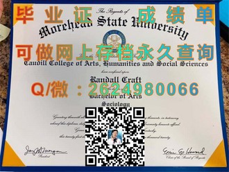 《阿比蒂彼特米斯卡学校文凭：揭秘这所名校的卓越教育成果与全球认可度》）