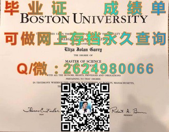 《意大利比萨大学文凭：成就国际精英的教育典范》）