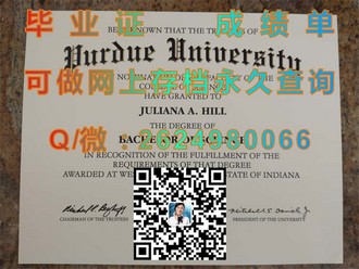 《都柏林城市大学文凭：开启国际化教育新篇章的秘密武器》）