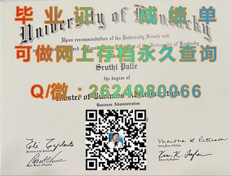 《利默里克大学文凭：开启全球认可的学术之门》