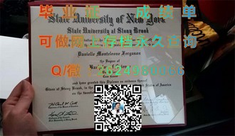 利莫瑞克理工学院文凭：全球认可的学术成就敲门砖