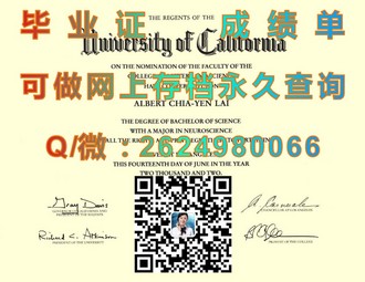 《伦敦商学院文凭：职场精英的黄金钥匙，开启国际职场新篇章》