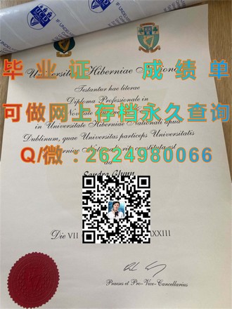 《揭秘桑德兰大学文凭：求职路上的黄金敲门砖》