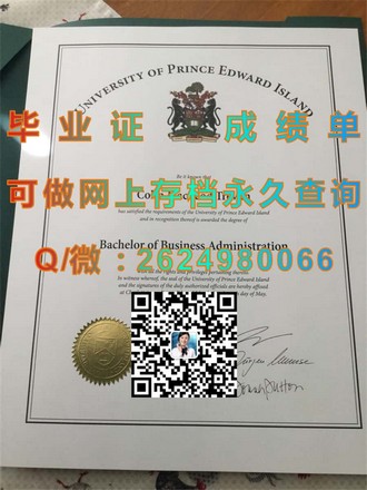 《南十字星大学文凭：解锁海外高等教育新选择，成就全球职场精英之路》