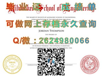怀卡托大学文凭：开启国际认可的学术之门