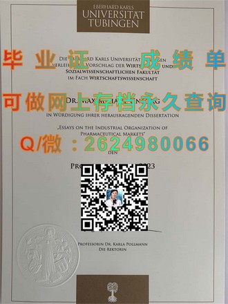 《南洋理工学院文凭：开启国际教育新篇章的秘密武器》）
