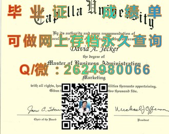《新加坡管理发展学院文凭：开启职场精英之路的黄金钥匙》）