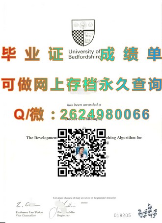 《沙顿商学院文凭：开启职场精英之路的关键钥匙》）