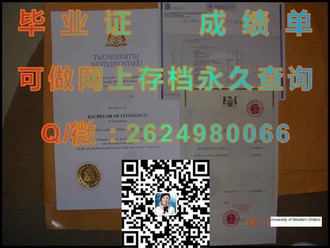 《北大西洋学院文凭：揭秘全球顶尖学府的卓越品质与辉煌成就》）