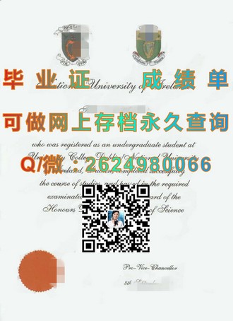 《新加坡东亚管理学院文凭：揭秘该校毕业生的全球竞争力与职业发展前景》）