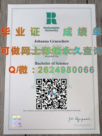 《苏塞克斯大学文凭：开启未来职业生涯的敲门砖》）