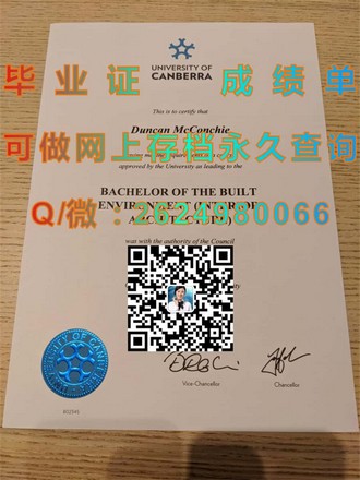 《怀卡托理工学院文凭：开启你的全球职场通行证》）