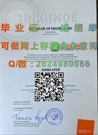 南十字星大学文凭：全球认可的优质学历，开启无限可能）
