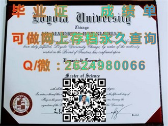 《萨里大学文凭：开启职业生涯的敲门砖，你的理想选择》）
