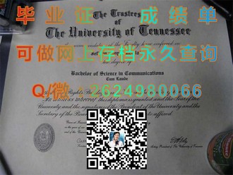 《新加坡国立大学文凭：开启全球认可的教育之旅》）