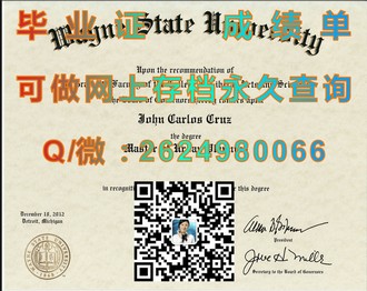 《阿比蒂彼特米斯卡学校文凭：揭秘其独特的教育体系与全球认可度》）