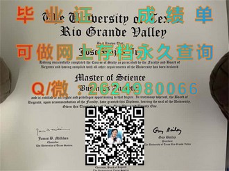 《莱佛士国际设计学院文凭：开启视觉设计领域的卓越之门》）
