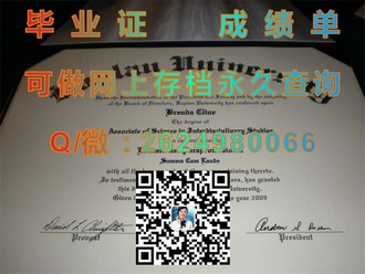 《新加坡管理大学文凭：成就未来商业领袖的金牌通行证》）